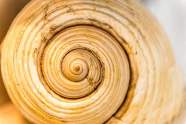 Apartman Neve Ντουμπρόβνικ Εξωτερικό φωτογραφία